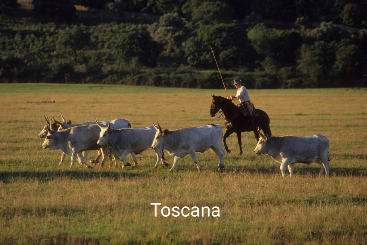 Appartamento La Libellula Grosseto Luaran gambar