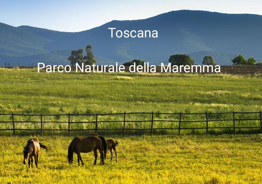 Appartamento La Libellula Grosseto Luaran gambar
